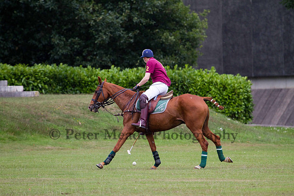 Ultimate Polo Tournament