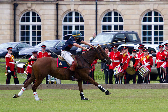 Ultimate Polo Tournament