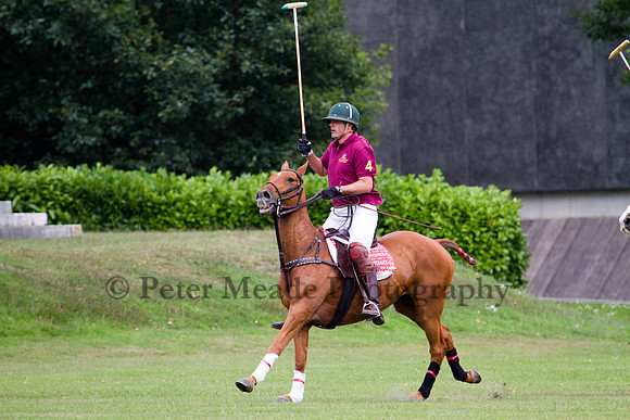 Ultimate Polo Tournament