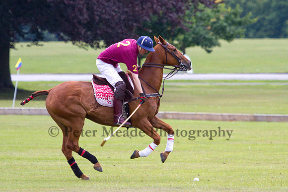 Ultimate Polo Tournament