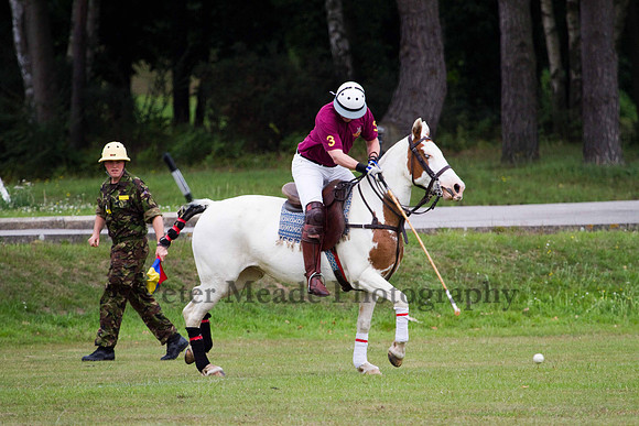 Ultimate Polo Tournament