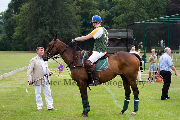 Ultimate Polo Tournament