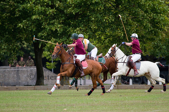 Ultimate Polo Tournament