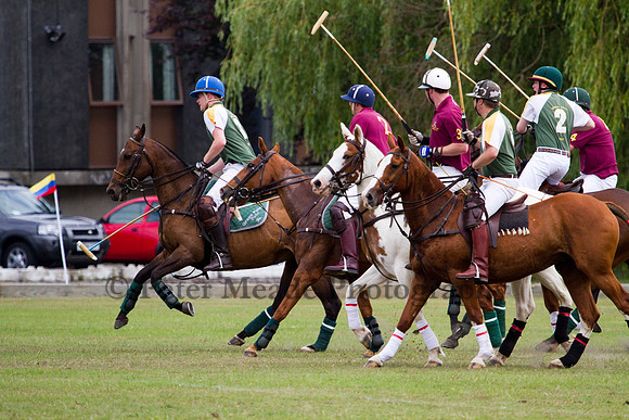 Ultimate Polo Tournament