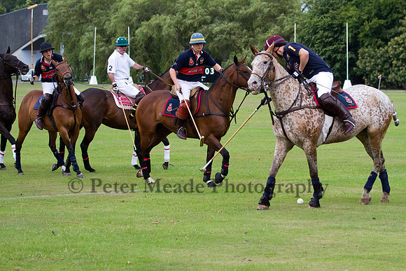 Ultimate Polo Tournament