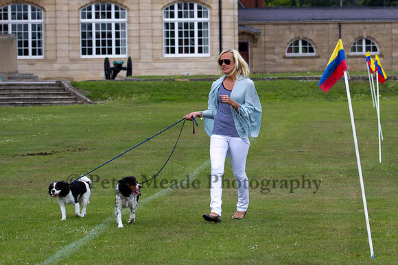 Ultimate Polo Tournament