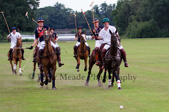 Ultimate Polo Tournament