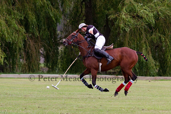 Leadership and Excellence Cup 2011