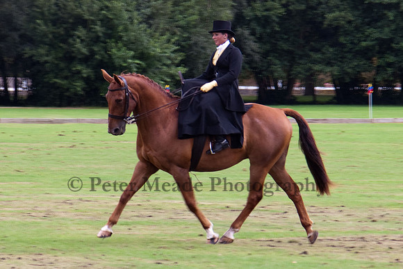 Heritage Polo Cup 2011