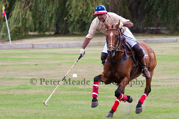 Heritage Polo Cup 2011