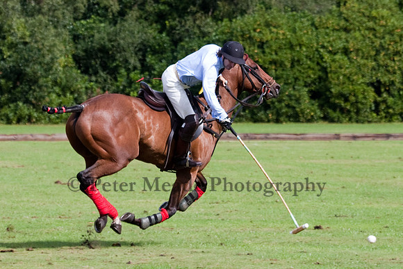 Heritage Polo Cup 2011