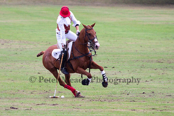 Heritage Polo Cup 2011