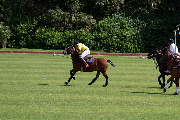 AGC Polo Cup 2010