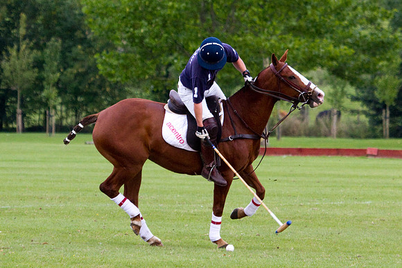 AGC Polo Cup 2010