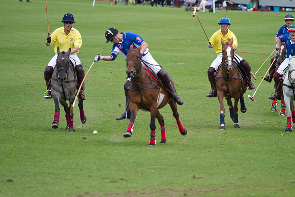 AGC Polo Cup 2010