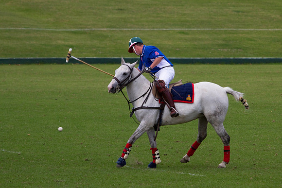 AGC Polo Cup 2010