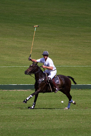 AGC Polo Cup 2010