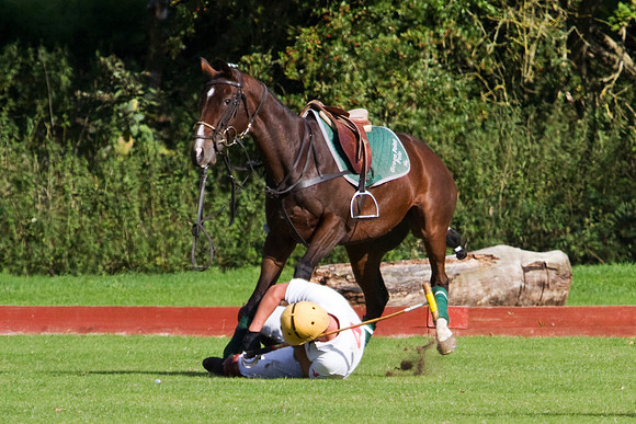 AGC Polo Cup 2010