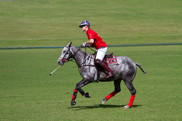 AGC Polo Cup 2010