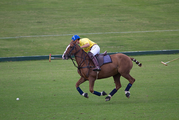 AGC Polo Cup 2010