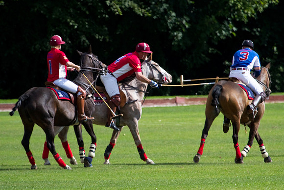 AGC Polo Cup 2010