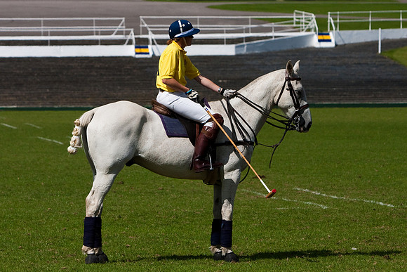 AGC Polo Cup 2010