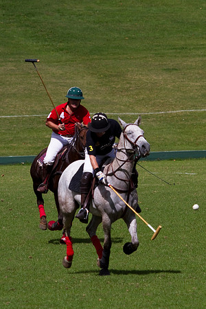 AGC Polo Cup 2010