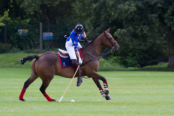 AGC Polo Cup 2010