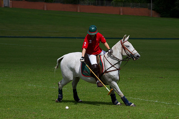 AGC Polo Cup 2010