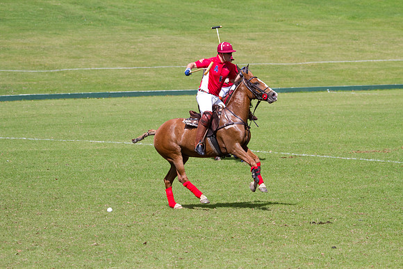 AGC Polo Cup 2010