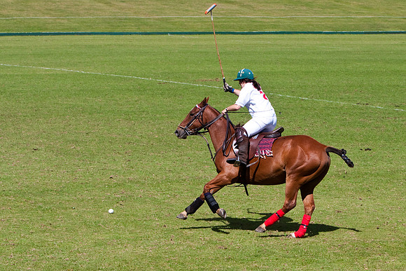 AGC Polo Cup 2010