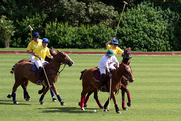 AGC Polo Cup 2010