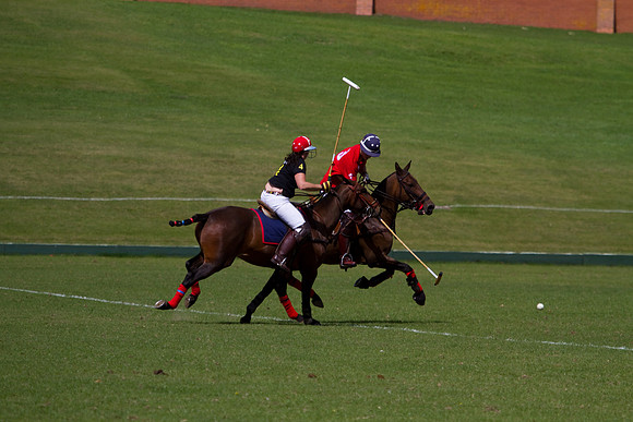 AGC Polo Cup 2010