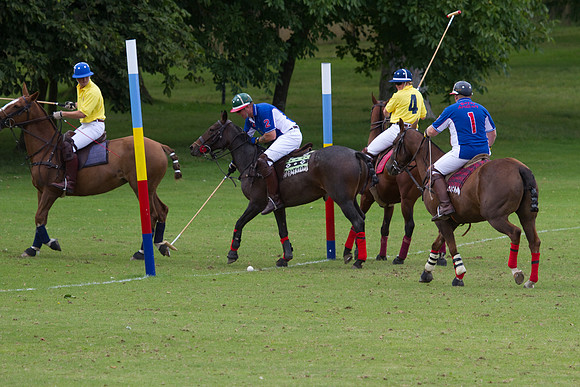 AGC Polo Cup 2010