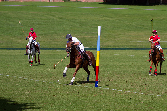 AGC Polo Cup 2010
