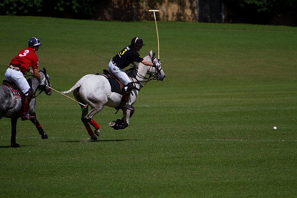 AGC Polo Cup 2010