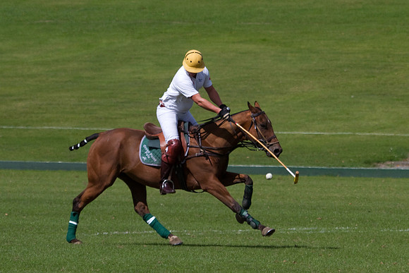 AGC Polo Cup 2010