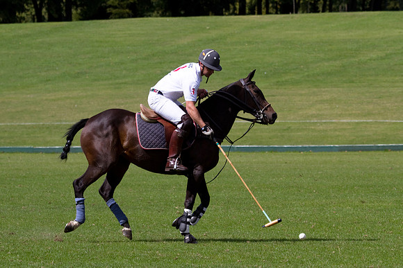 AGC Polo Cup 2010