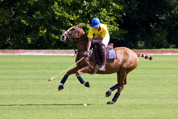 AGC Polo Cup 2010