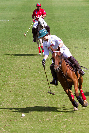 AGC Polo Cup 2010