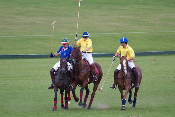 AGC Polo Cup 2010