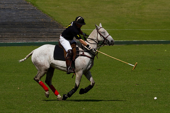 AGC Polo Cup 2010
