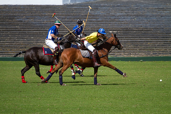 AGC Polo Cup 2010