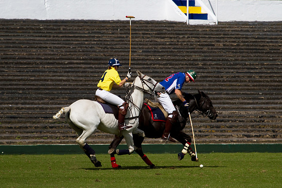 AGC Polo Cup 2010