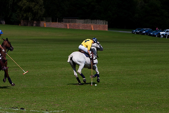 AGC Polo Cup 2010