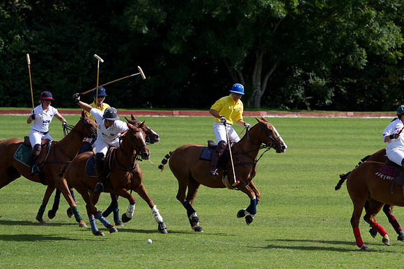 AGC Polo Cup 2010