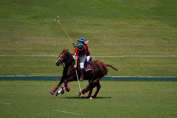 AGC Polo Cup 2010