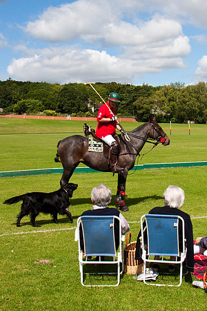 AGC Polo Cup 2010