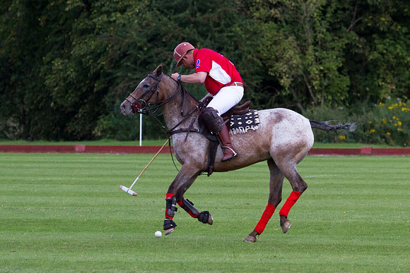AGC Polo Cup 2010