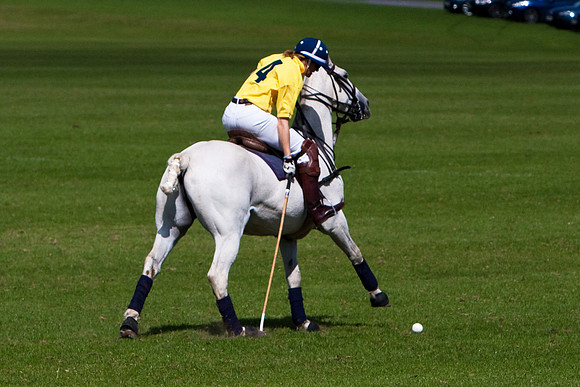 AGC Polo Cup 2010